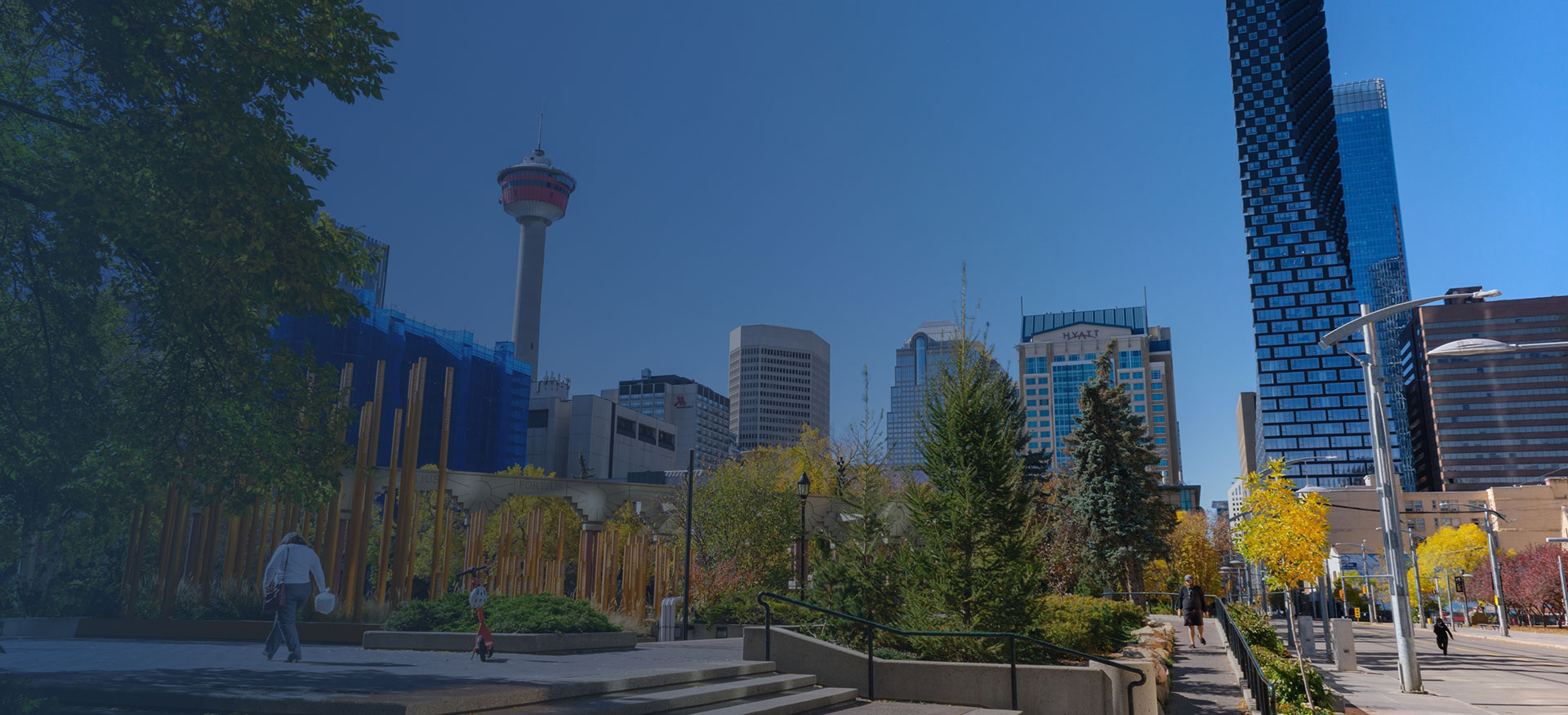 Calgary sales banner